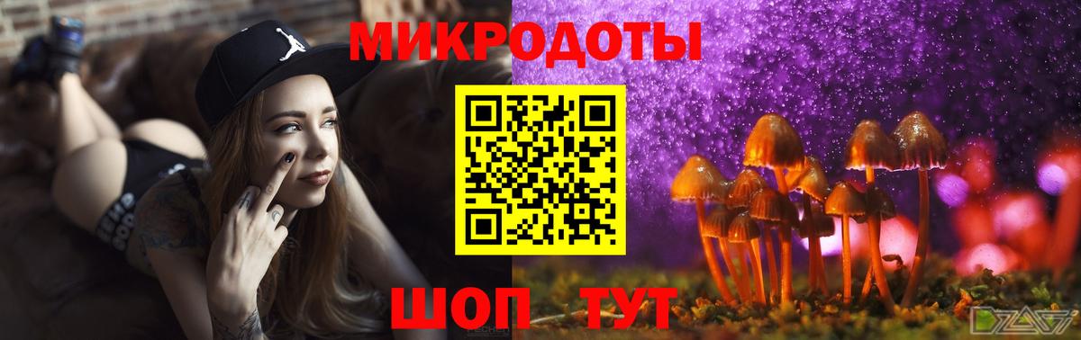 Галлюциногенные грибы Psilocybine cubensis  Вход с VPN  Псилоцибиновые грибы прущие грибы  Уварово 