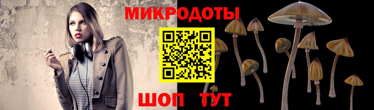 Галлюциногенные грибы Psilocybine cubensis Уварово